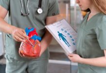 Why Pursuing an AAS in Cardiovascular Technology Is Ideal for Aspiring Heart Technicians
